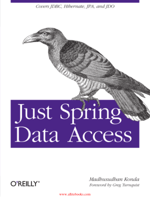 Free Download PDF Books, Just Spring Data Access