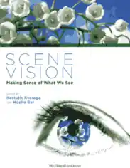 Free Download PDF Books, Scene Vision- Making Sense of What We See
