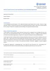 Free Download PDF Books, Vehicle Travel Consent Form Template