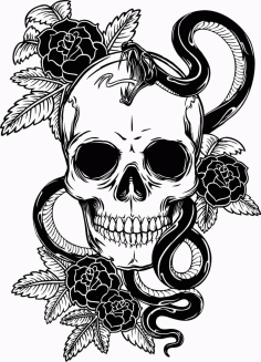 Snake with Skull Sketch Free Vector, Free Vectors File