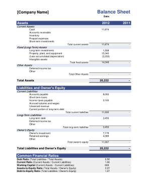 Free Download PDF Books, Business Accounting Balance Sheet Form Template