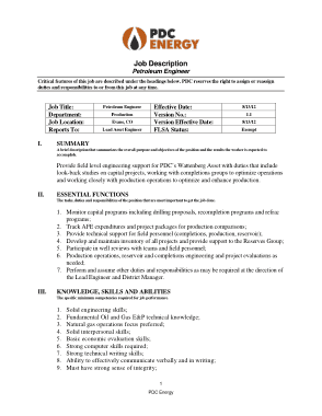 Free Download PDF Books, Professional Petroleum Engineer Job Description Template
