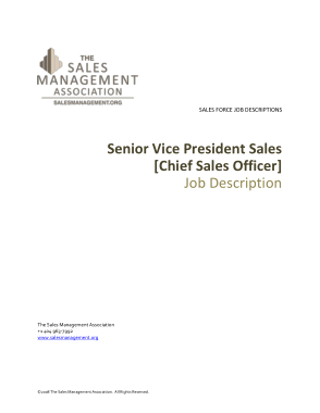Free Download PDF Books, Senior Vice President Sales Officer Job Description Template