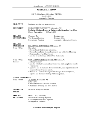 Free Download PDF Books, Accountant Resume Template