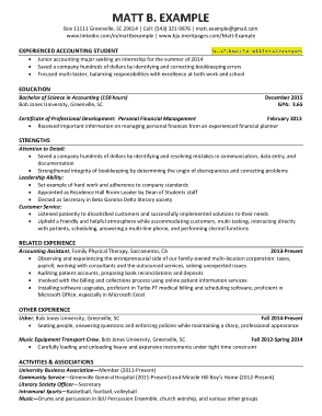Free Download PDF Books, Experienced Accountant Resume Template