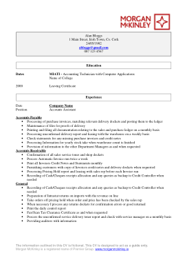 Free Download PDF Books, MM Assistant Financial Accountant Resume Template