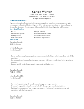 Free Download PDF Books, Business Operation Executive Resume Template