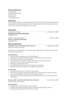 Free Download PDF Books, Resume of Sales Executive in Real Estate Template