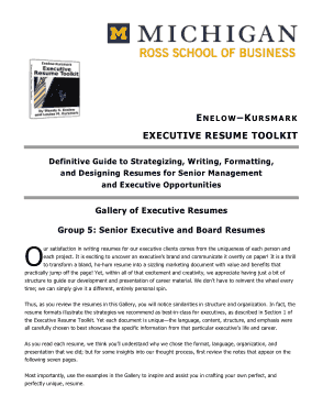 Free Download PDF Books, Senior Business Executive Template