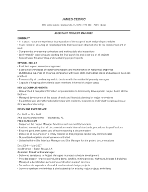 Free Download PDF Books, Project Manager Assistant Resume Sample Template
