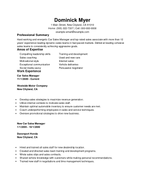 Free Download PDF Books, Resume for Car Sales Manager Template