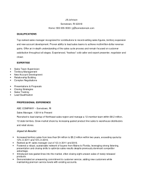 Free Download PDF Books, Sales Manager Experience Resume Template