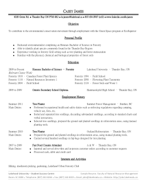 Free Download PDF Books, Management Resume Template