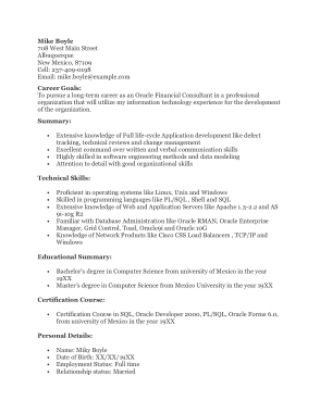 Free Download PDF Books, Oracle Financial Consultant Resume Template