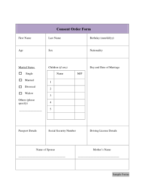 Free Download PDF Books, Consent Order Form Template