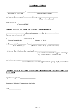 Free Download PDF Books, Marriage Affidavit Form Sample Template