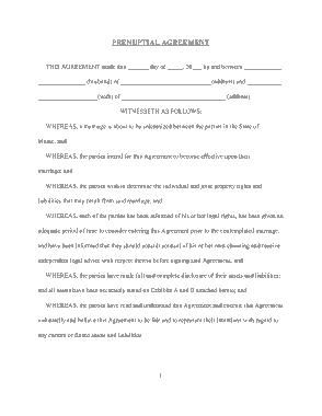 Free Download PDF Books, Blank Prenuptial Agreement Form Template