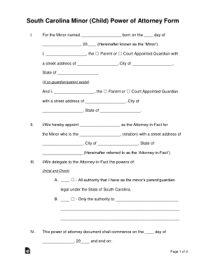 Free Download PDF Books, South Carolina Minor Child Parental Power Of Attorney Form Template