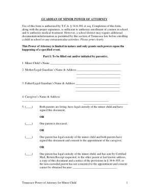 Free Download PDF Books, Tennessee Guardian Of Minor Power Of Attorney Form Template