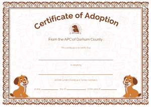 Free Download PDF Books, APC Adoption Certificate Template
