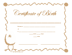 Free Download PDF Books, Birth Certificate Application Sample Template