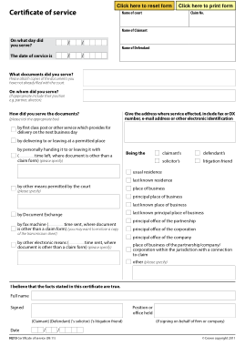 Free Download PDF Books, Certificate of Service Electronic Form Template