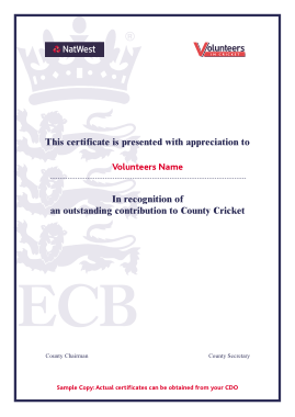 Free Download PDF Books, Cricket Volunteer Certificate Template