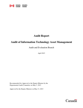 Free Download PDF Books, Audit Report for Information Technology Asset Management Template