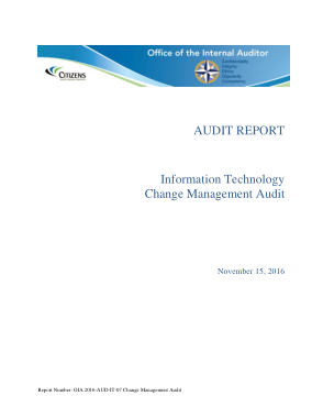 Free Download PDF Books, Information Technology Change management Audit Report Template