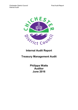Free Download PDF Books, Treasury Management Audit Report Sample Template