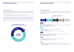 Free Download PDF Books, Project Risk Management Report Sample Template