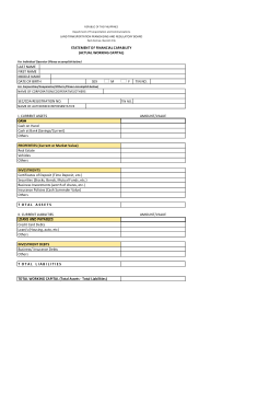 Free Download PDF Books, Financial Capability Statement Template
