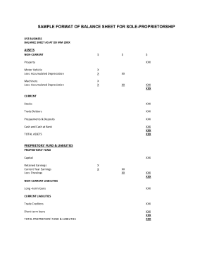 Free Download PDF Books, Sample Format of Balance Sheet for Sole Proprietorship Template