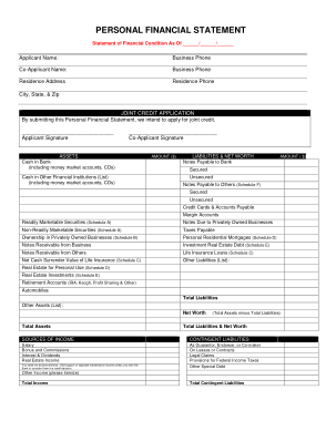Free Download PDF Books, Personal Financial Statement Credit Application Template