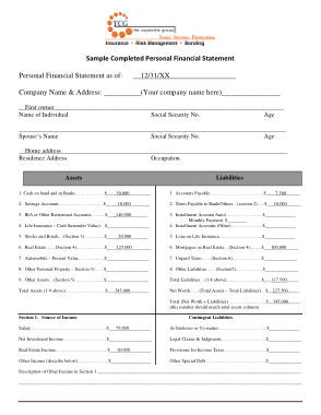 Free Download PDF Books, Sample Completed Personal Financial Statement Template