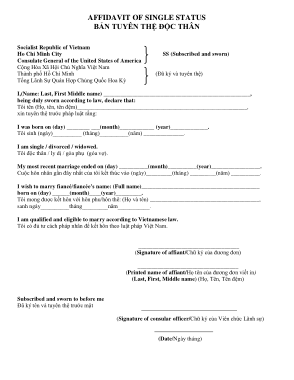 Free Download PDF Books, Printable Affidavit of Single Status Template