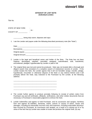 Free Download PDF Books, Lost Note Sample Affidavit for Individual Lender Template