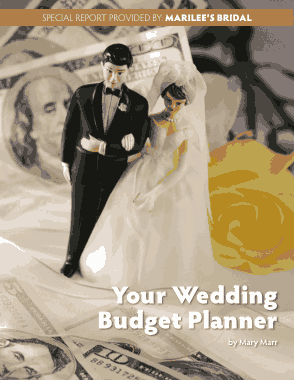 Free Download PDF Books, Wedding Budget Planner Worksheet Template