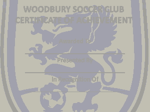 Free Download PDF Books, Woodbury Soccer Club Certificate Template