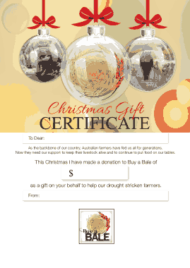 Free Download PDF Books, Printable Christmas Gift Certificate Template