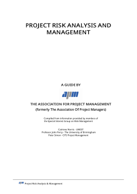 Free Download PDF Books, Project Risk Analysis and Management Template