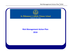 Free Download PDF Books, Risk Management Action Plan Template