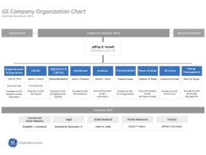 Free Download PDF Books, Basic Non Profit Organizational Chart Template