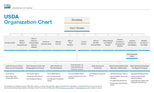 Free Download PDF Books, Basic USDA Organization Chart Template