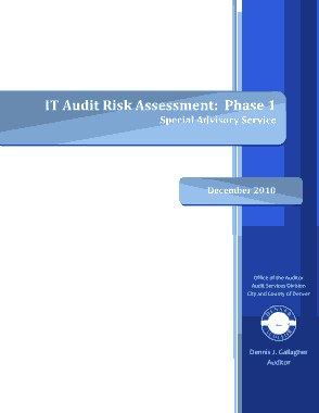 Free Download PDF Books, IT Audit  Risk Assessment Template
