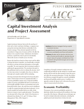Free Download PDF Books, Analysis of Capital Investment Template