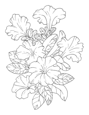 Free Download PDF Books, Flower Botanical Petunia Coloring Template