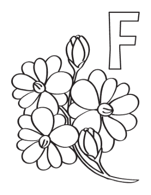 Free Download PDF Books, Flower F Is For Flower Simple Coloring Template