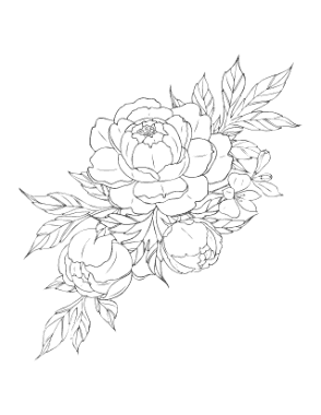 Free Download PDF Books, Flower Peony Botanical Coloring Template