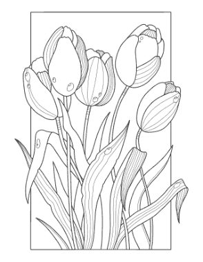 Free Download PDF Books, Flower Tulips Coloring Template